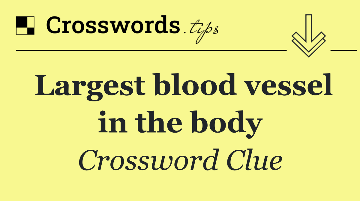 Largest blood vessel in the body