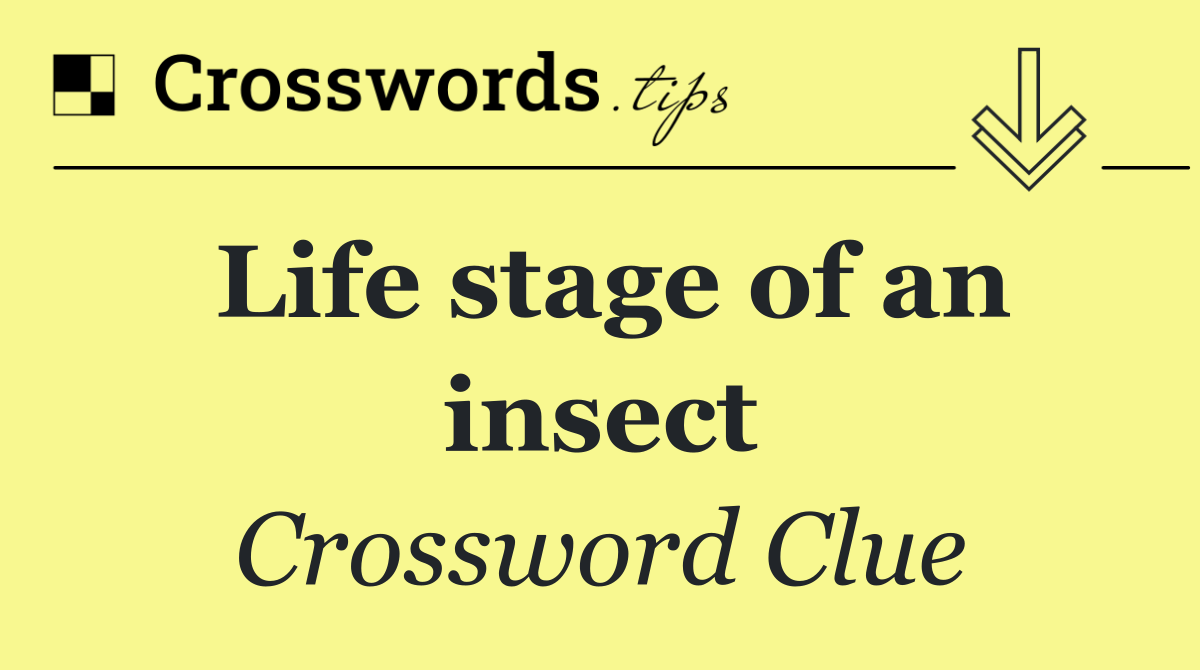 Life stage of an insect