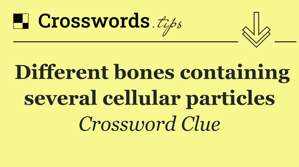 Different bones containing several cellular particles