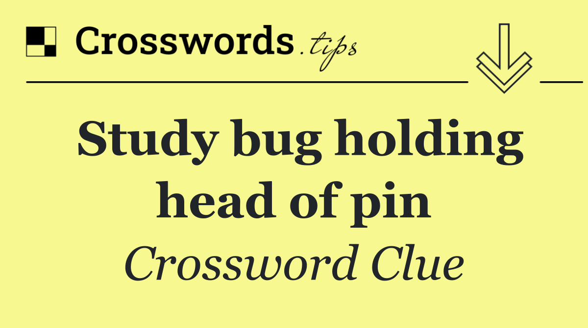 Study bug holding head of pin