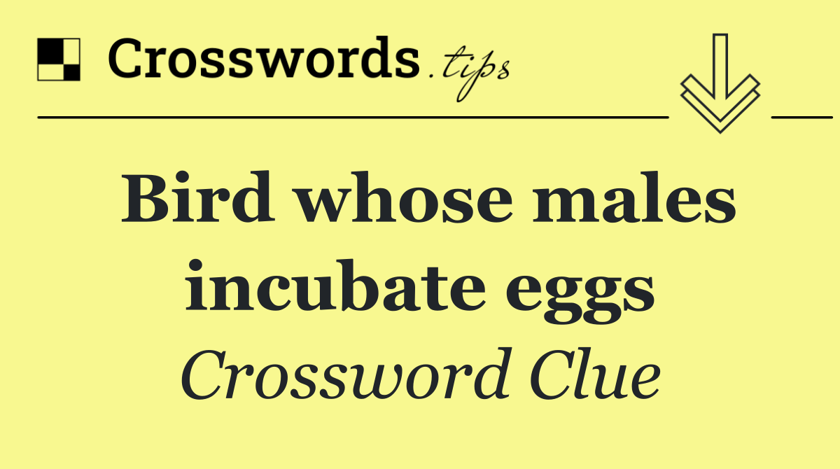 Bird whose males incubate eggs