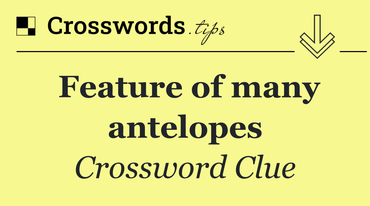 Feature of many antelopes