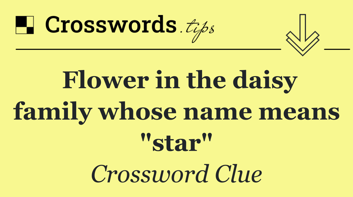 Flower in the daisy family whose name means "star"