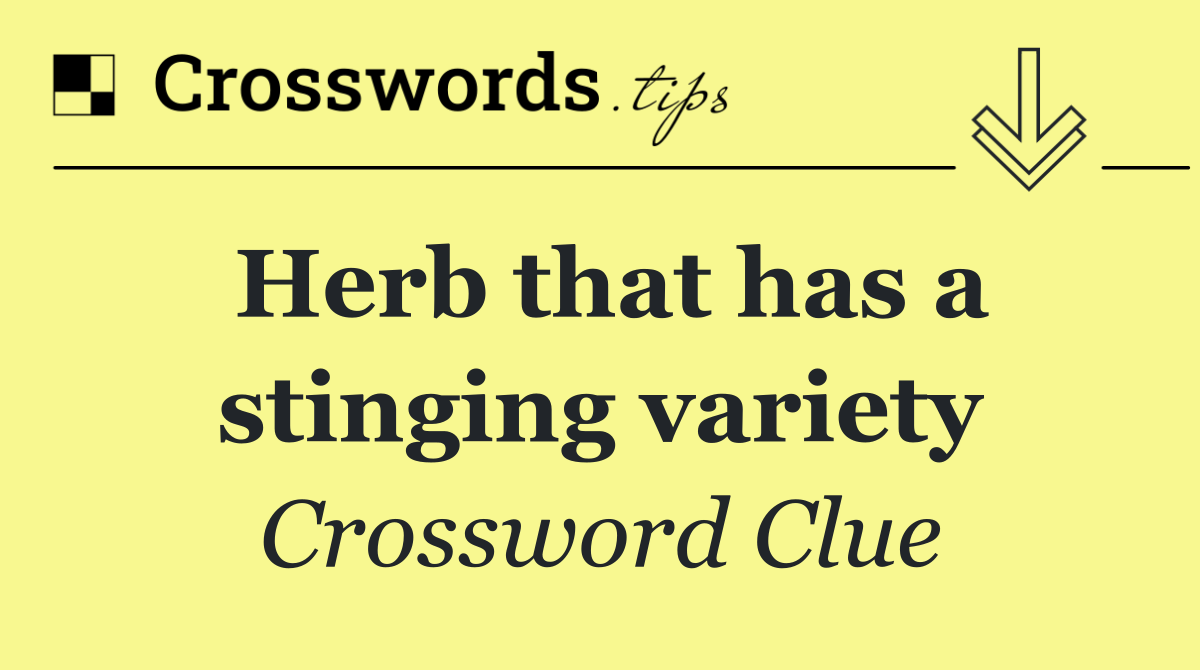 Herb that has a stinging variety