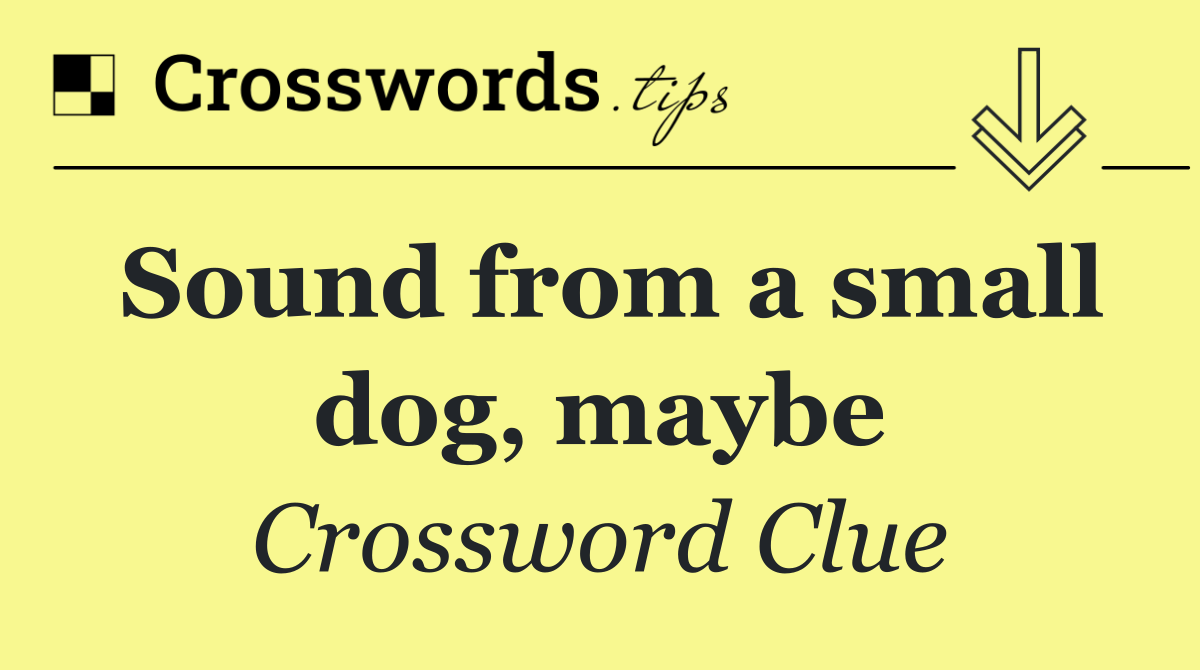 Sound from a small dog, maybe