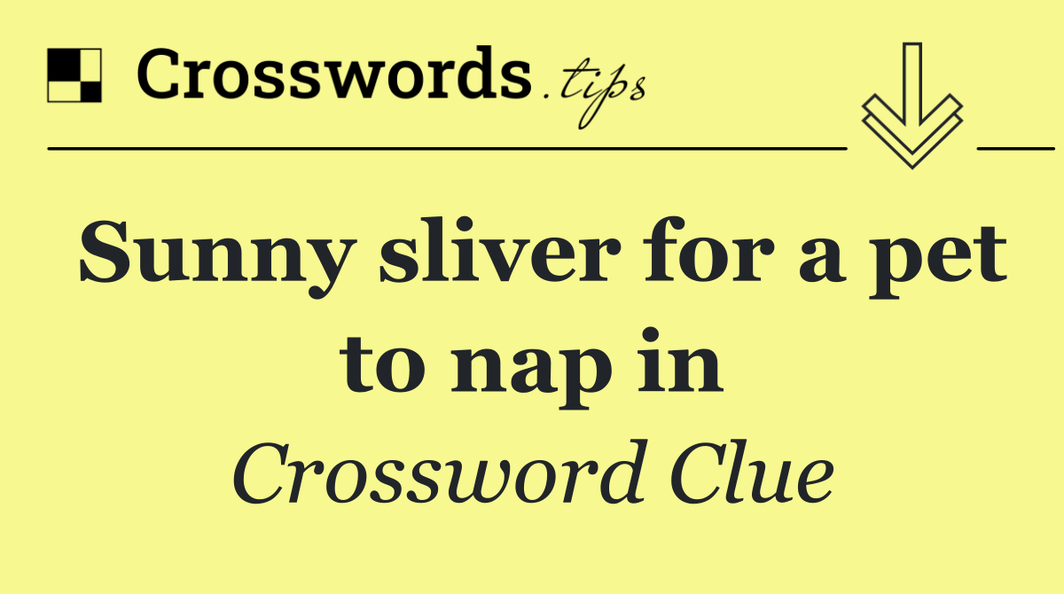Sunny sliver for a pet to nap in
