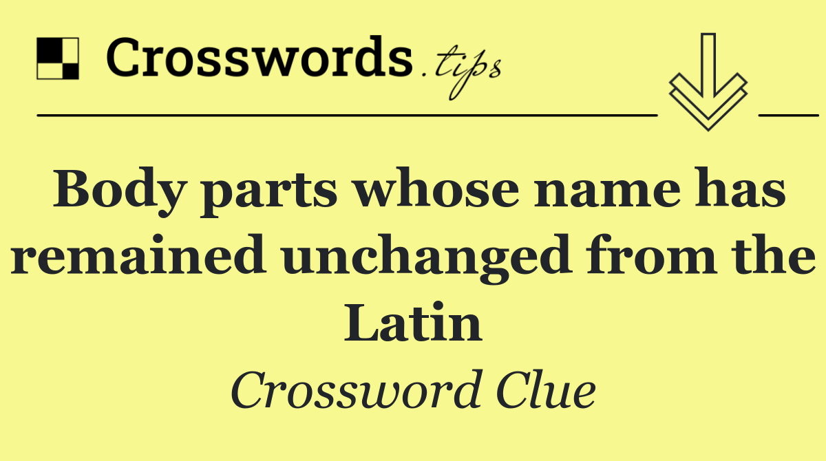 Body parts whose name has remained unchanged from the Latin