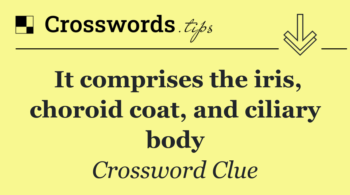 It comprises the iris, choroid coat, and ciliary body