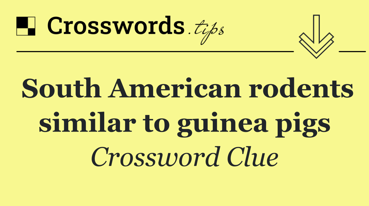 South American rodents similar to guinea pigs
