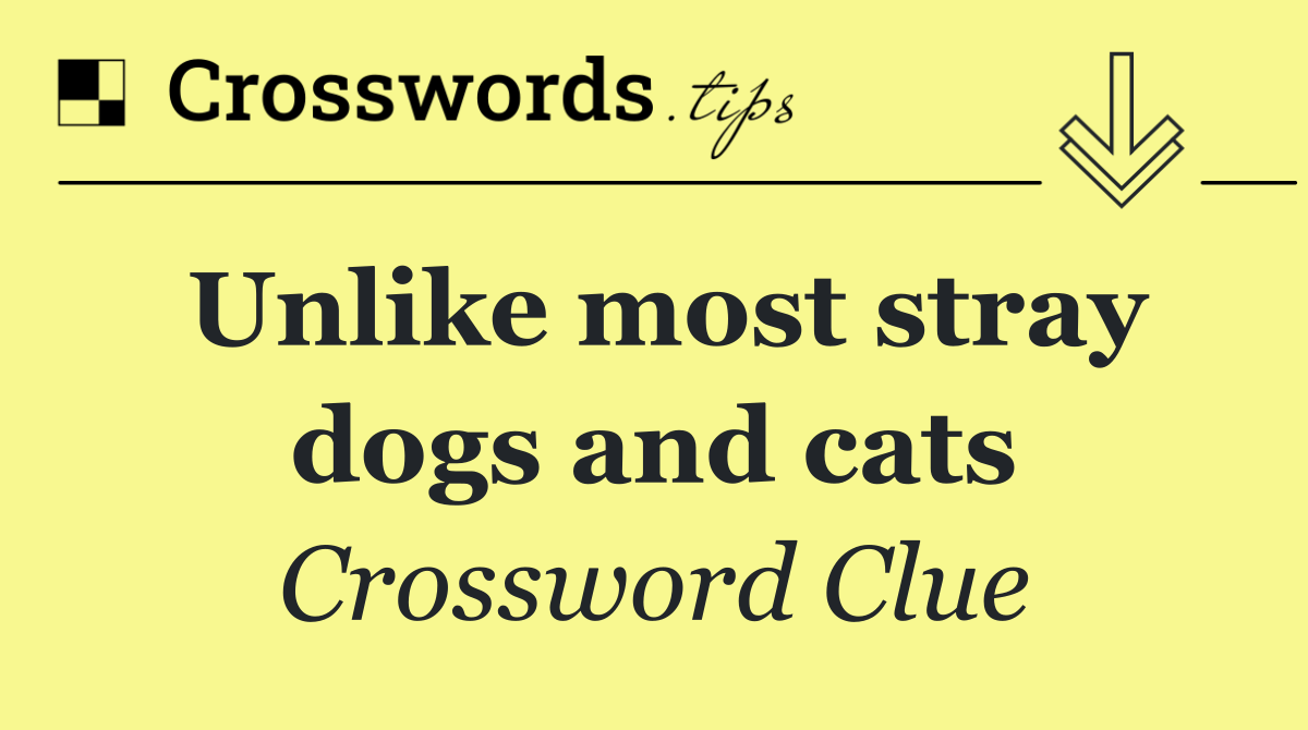 Unlike most stray dogs and cats