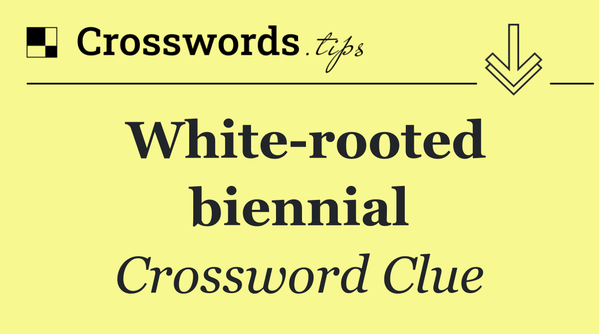 White rooted biennial