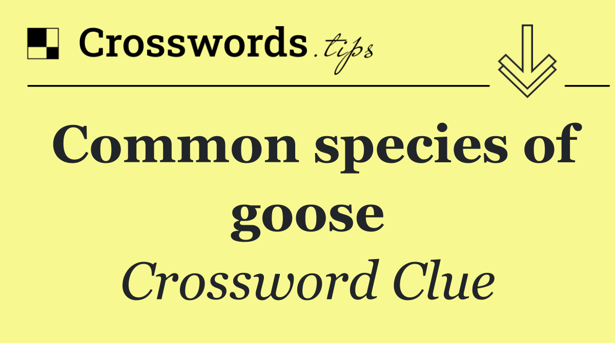 Common species of goose