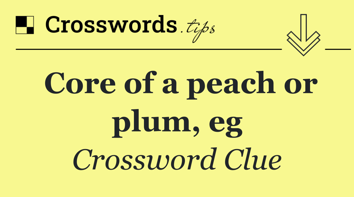 Core of a peach or plum, eg