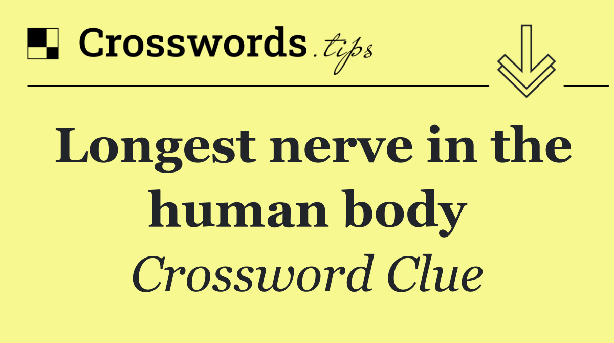 Longest nerve in the human body