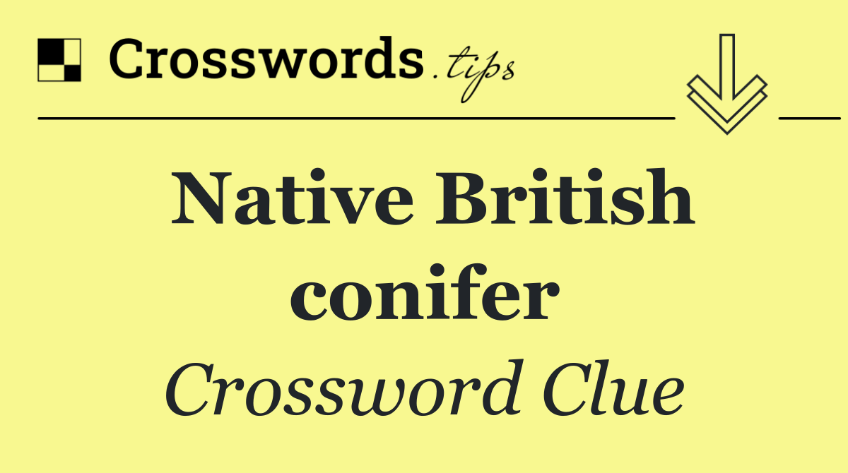 Native British conifer