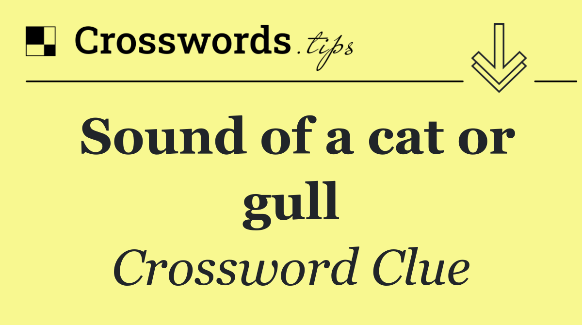 Sound of a cat or gull