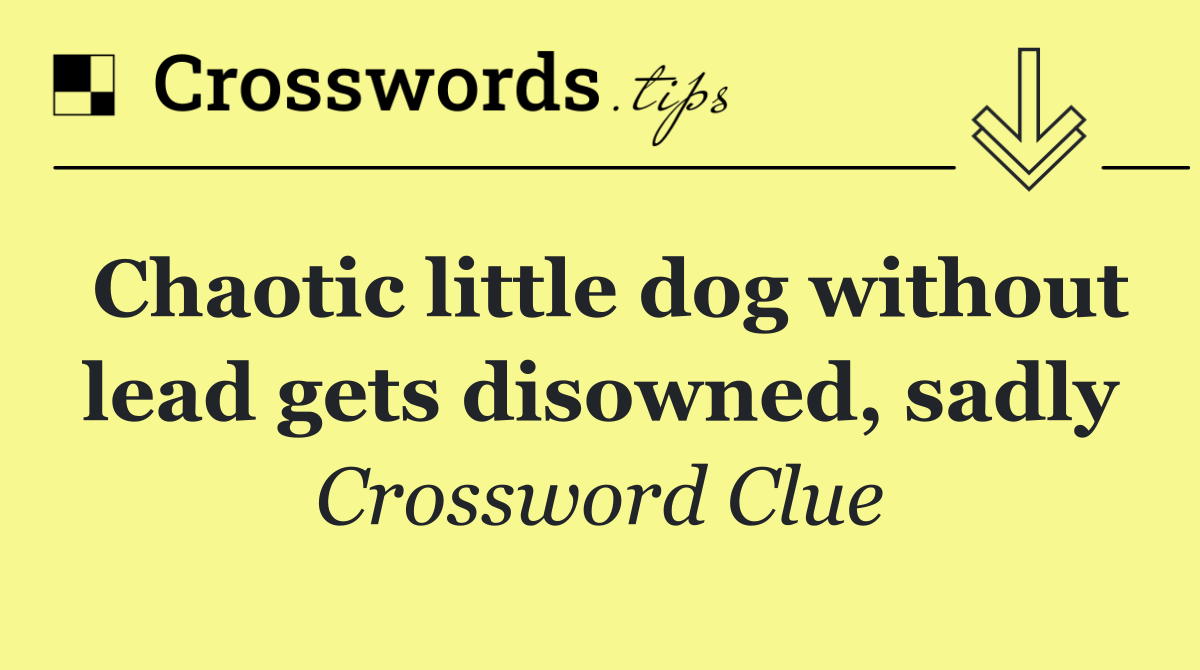 Chaotic little dog without lead gets disowned, sadly