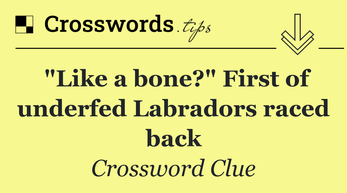 "Like a bone?" First of underfed Labradors raced back