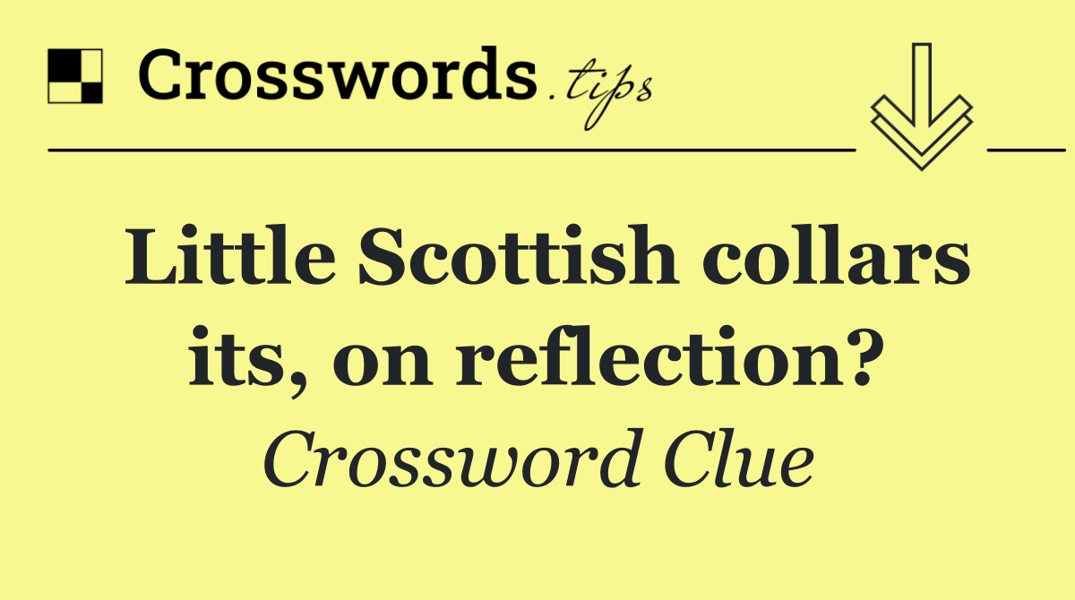 Little Scottish collars its, on reflection?