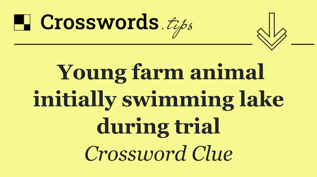 Young farm animal initially swimming lake during trial