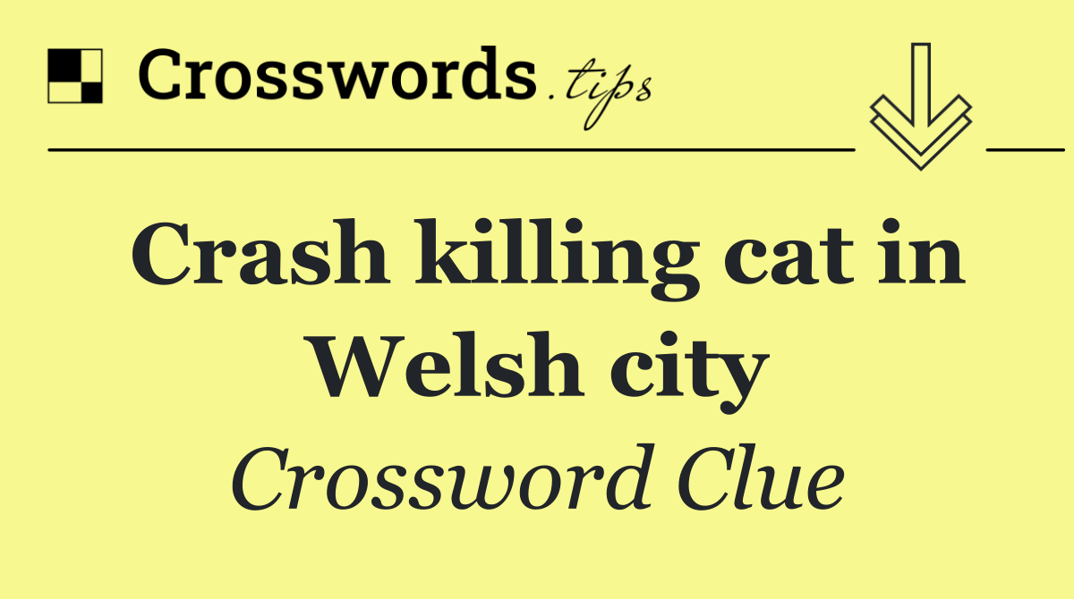 Crash killing cat in Welsh city