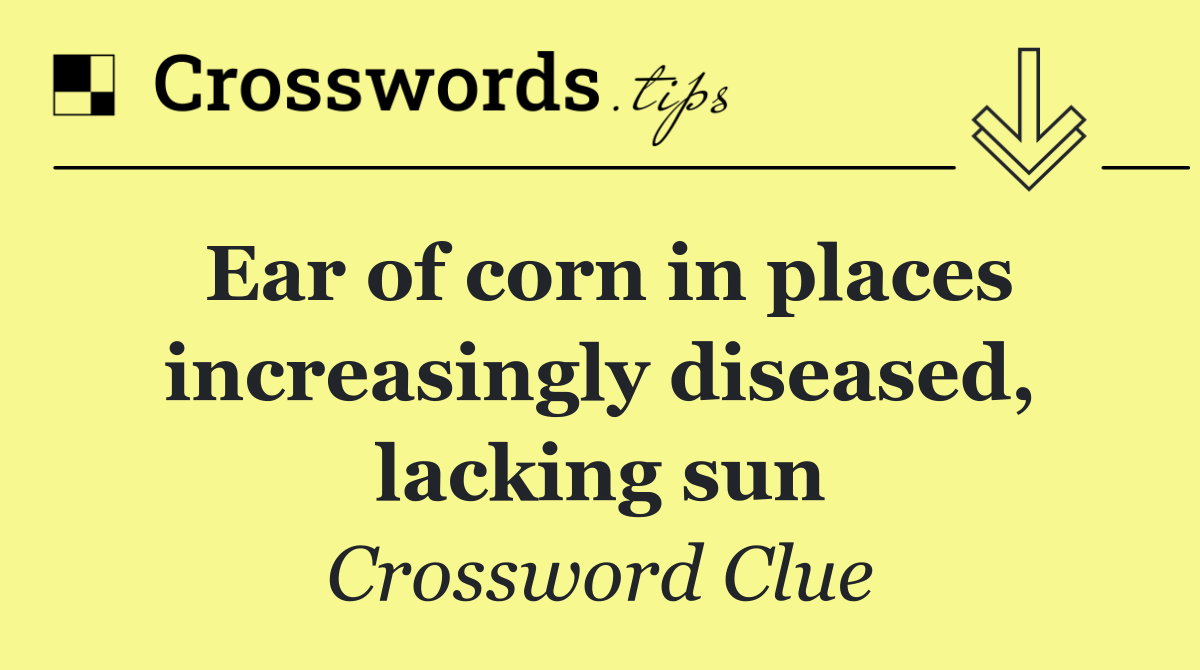 Ear of corn in places increasingly diseased, lacking sun