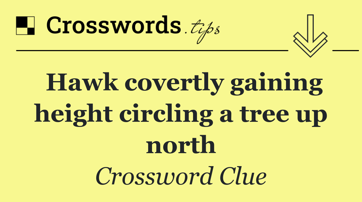 Hawk covertly gaining height circling a tree up north