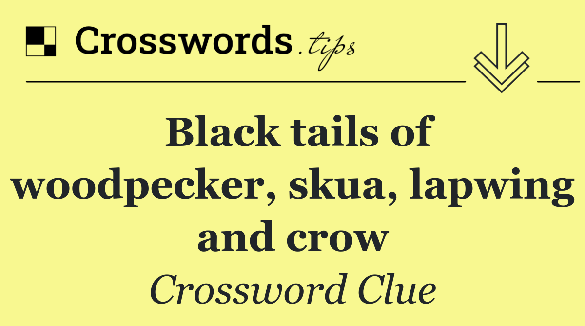 Black tails of woodpecker, skua, lapwing and crow