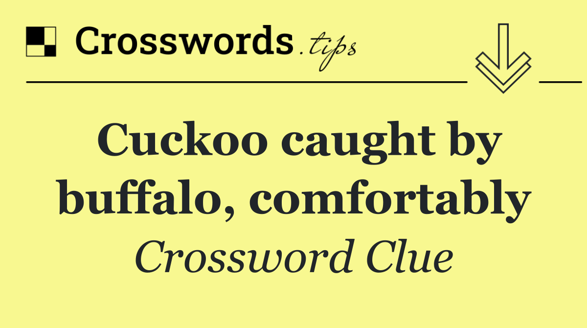 Cuckoo caught by buffalo, comfortably