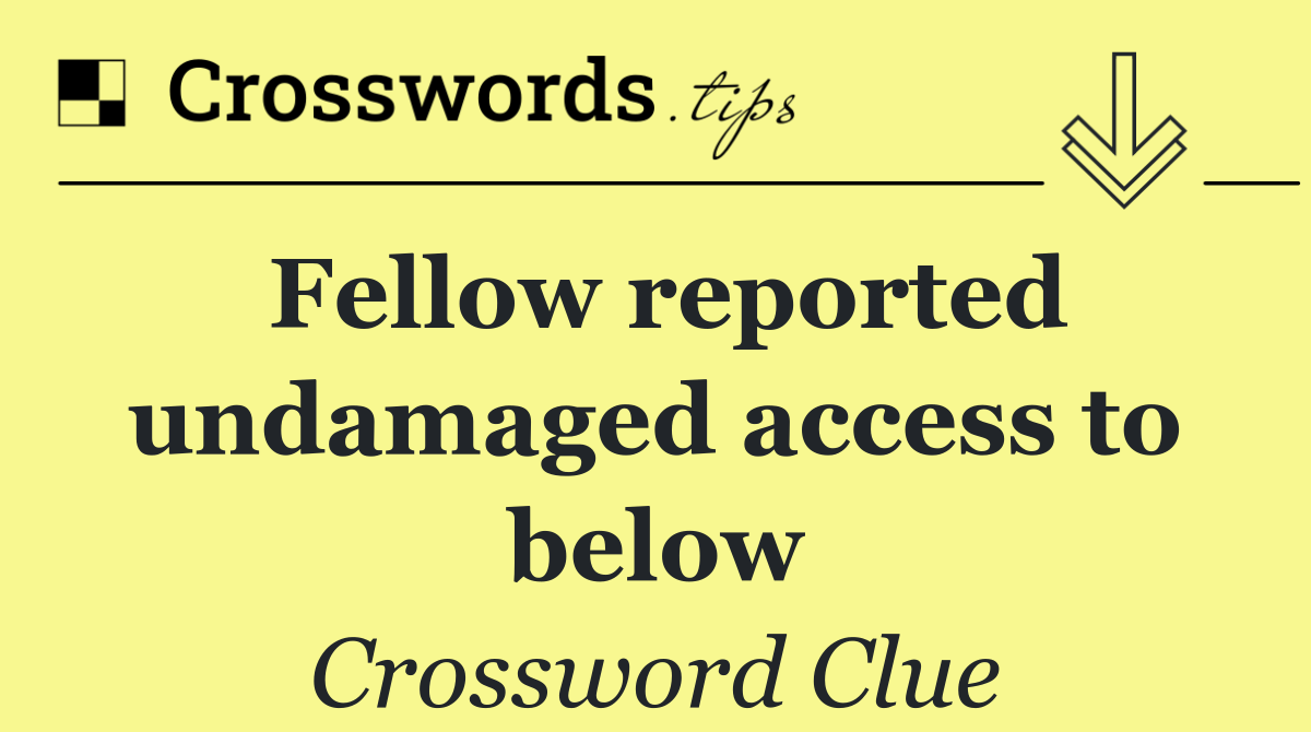 Fellow reported undamaged access to below