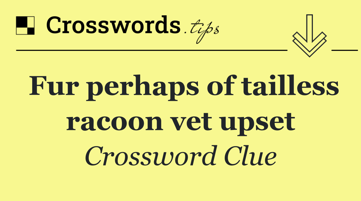 Fur perhaps of tailless racoon vet upset