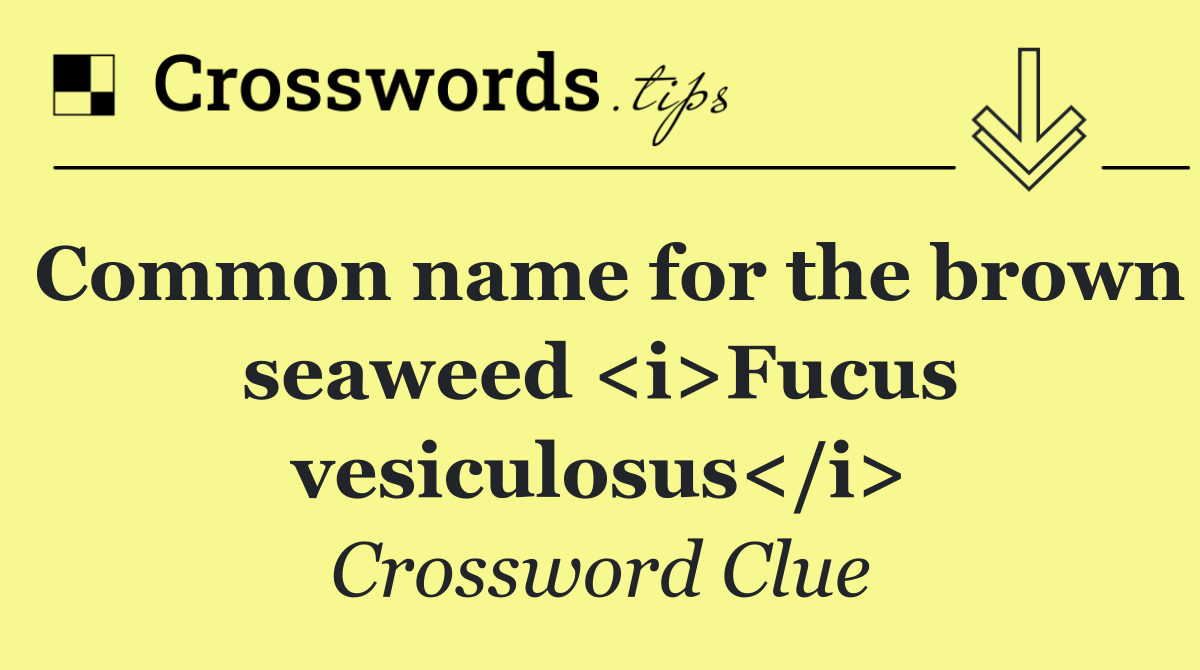 Common name for the brown seaweed <i>Fucus vesiculosus</i>