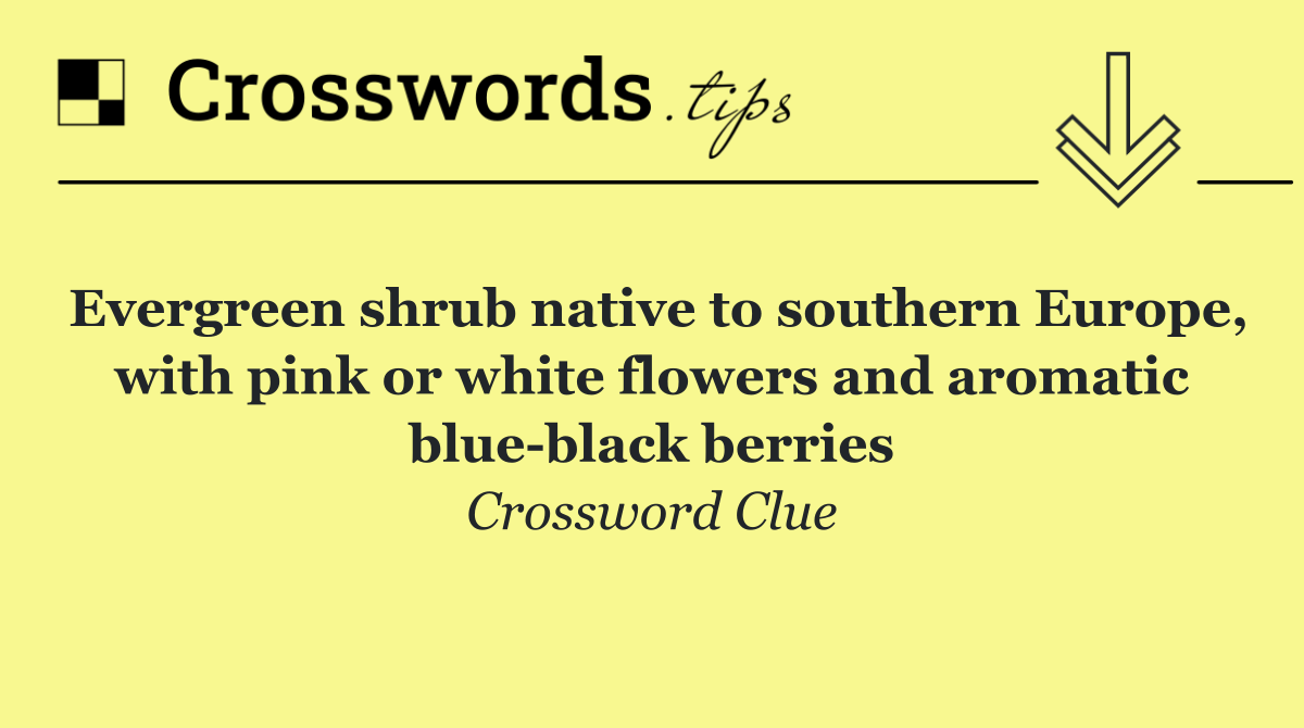 Evergreen shrub native to southern Europe, with pink or white flowers and aromatic blue black berries