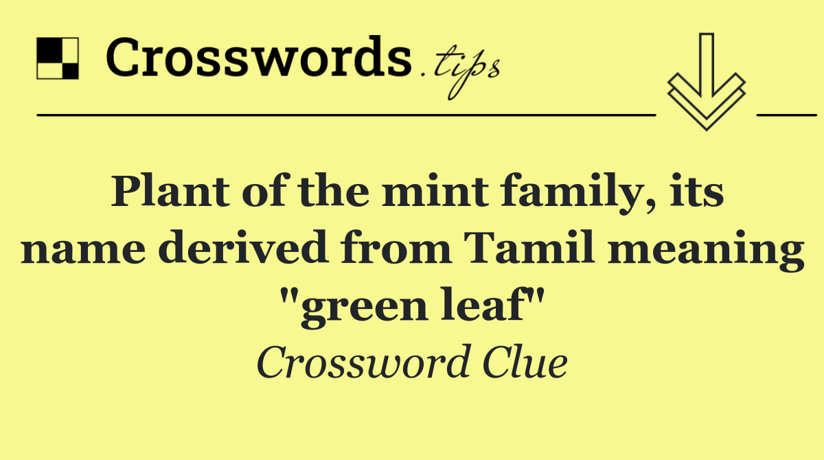 Plant of the mint family, its name derived from Tamil meaning "green leaf"