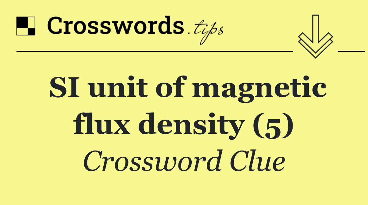 SI unit of magnetic flux density (5)