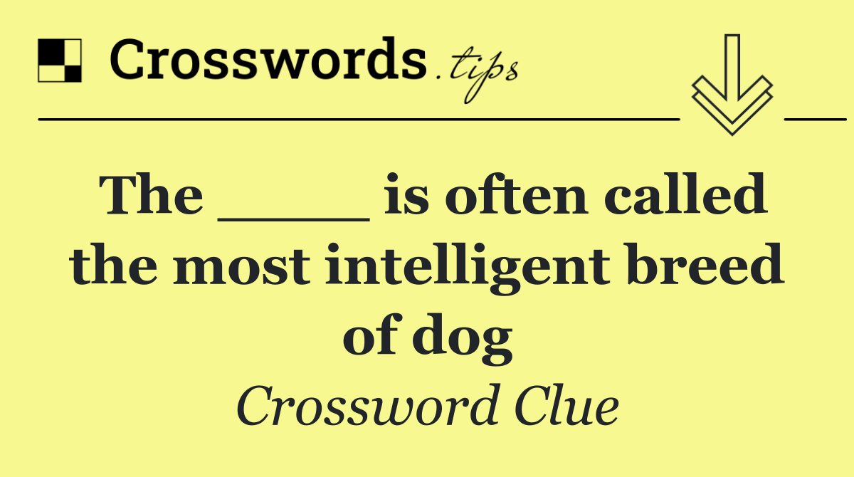 The ____ is often called the most intelligent breed of dog