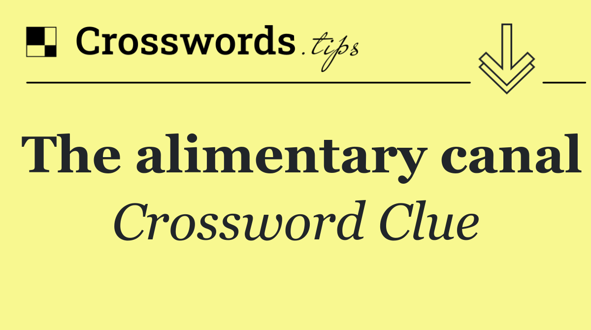 The alimentary canal