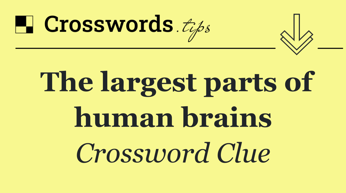 The largest parts of human brains