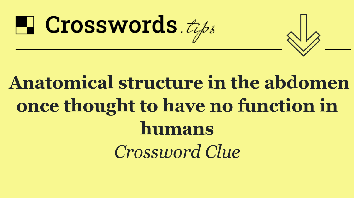 Anatomical structure in the abdomen once thought to have no function in humans