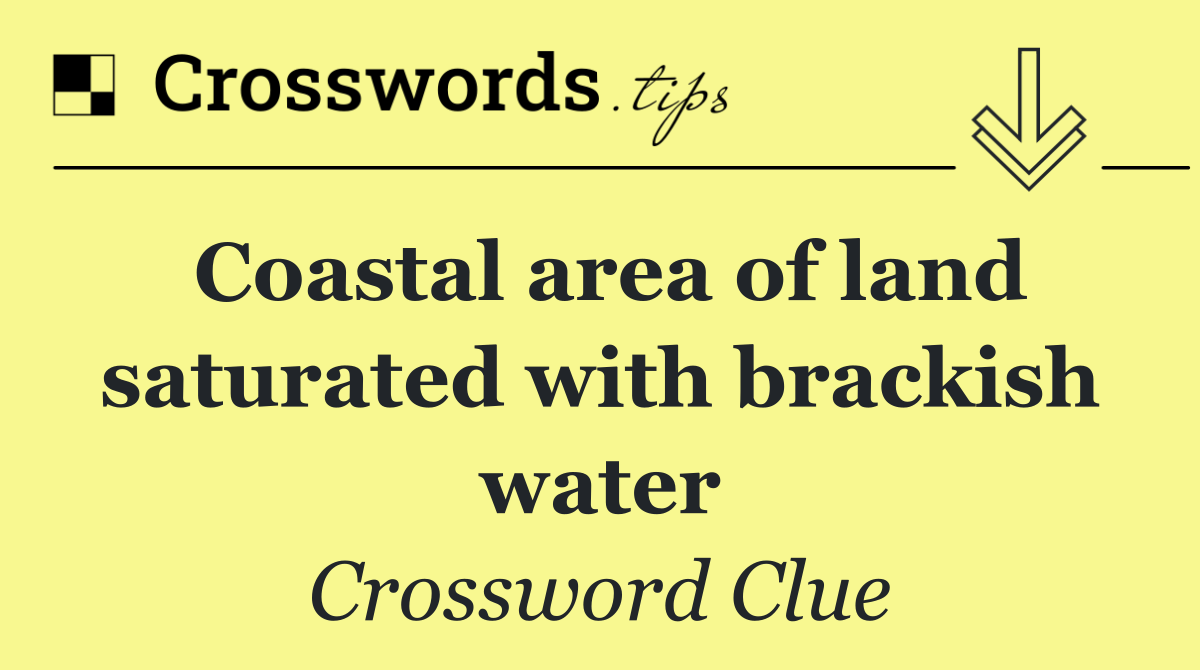 Coastal area of land saturated with brackish water