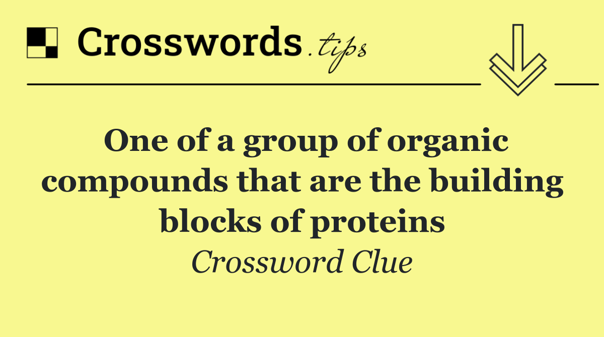 One of a group of organic compounds that are the building blocks of proteins