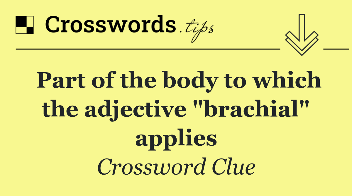 Part of the body to which the adjective "brachial" applies