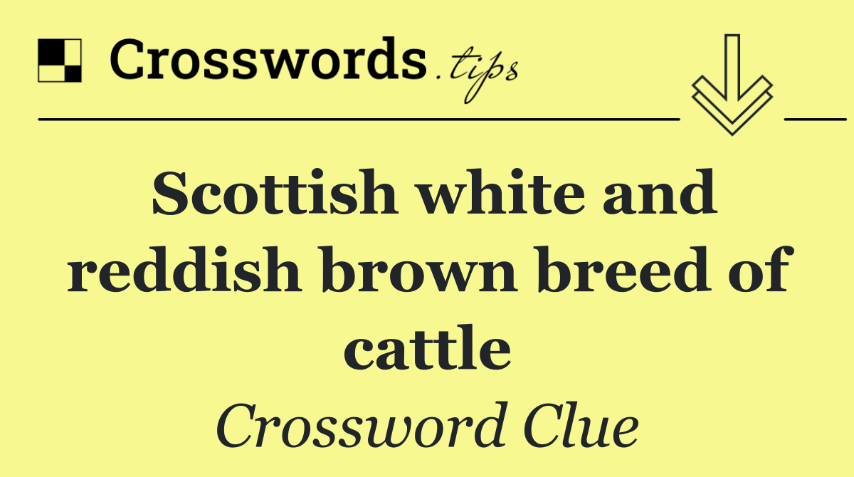 Scottish white and reddish brown breed of cattle