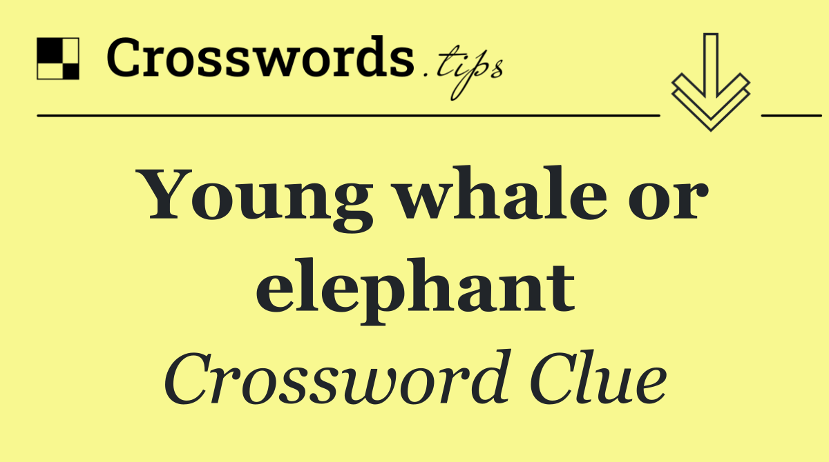 Young whale or elephant