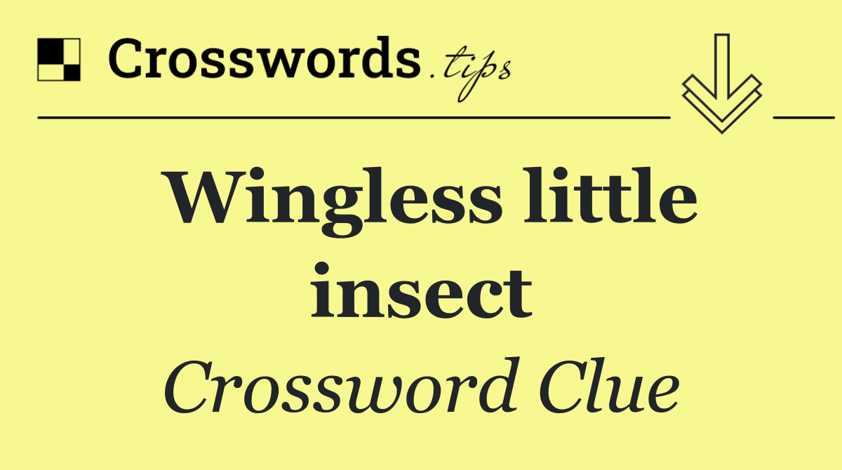 Wingless little insect