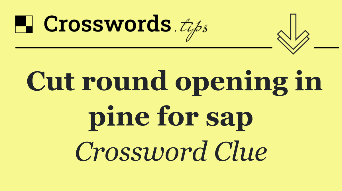 Cut round opening in pine for sap