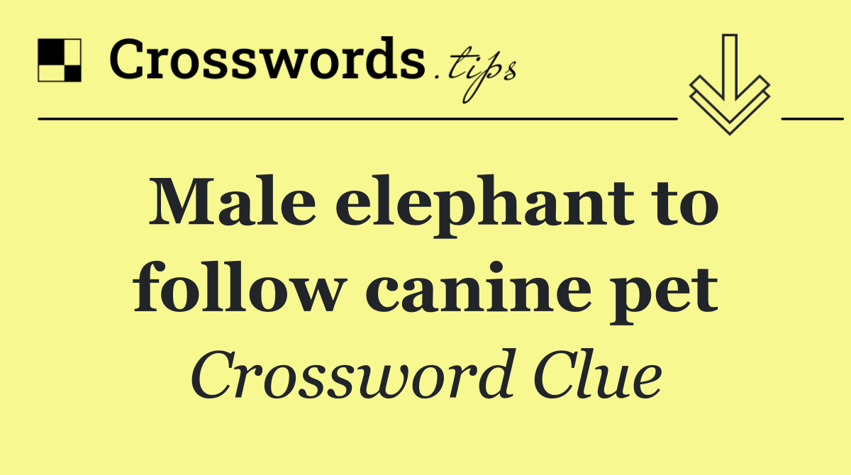 Male elephant to follow canine pet