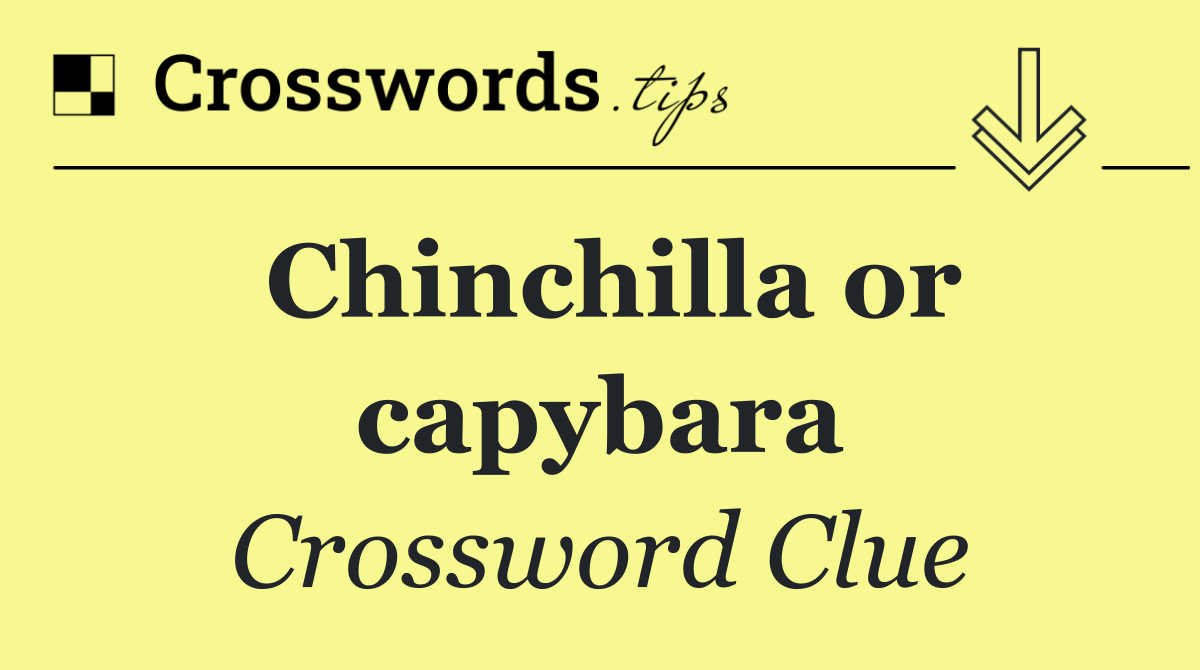 Chinchilla or capybara