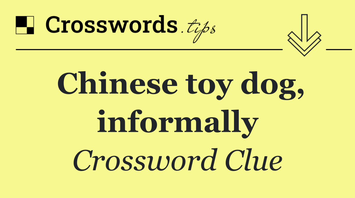 Chinese toy dog, informally