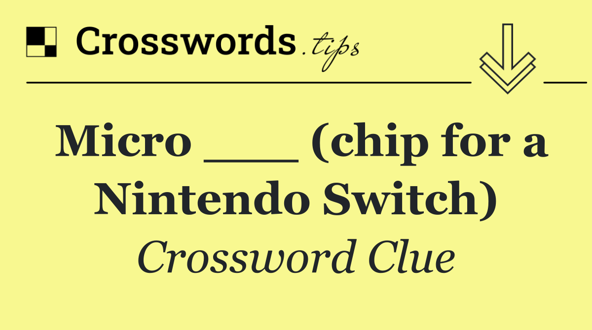 Micro ___ (chip for a Nintendo Switch)